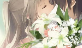 动漫接吻视频,动漫接吻视频精选回顾